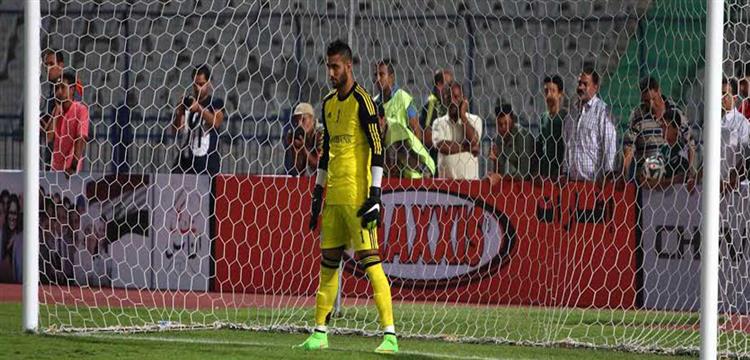 احمد الشناوي 